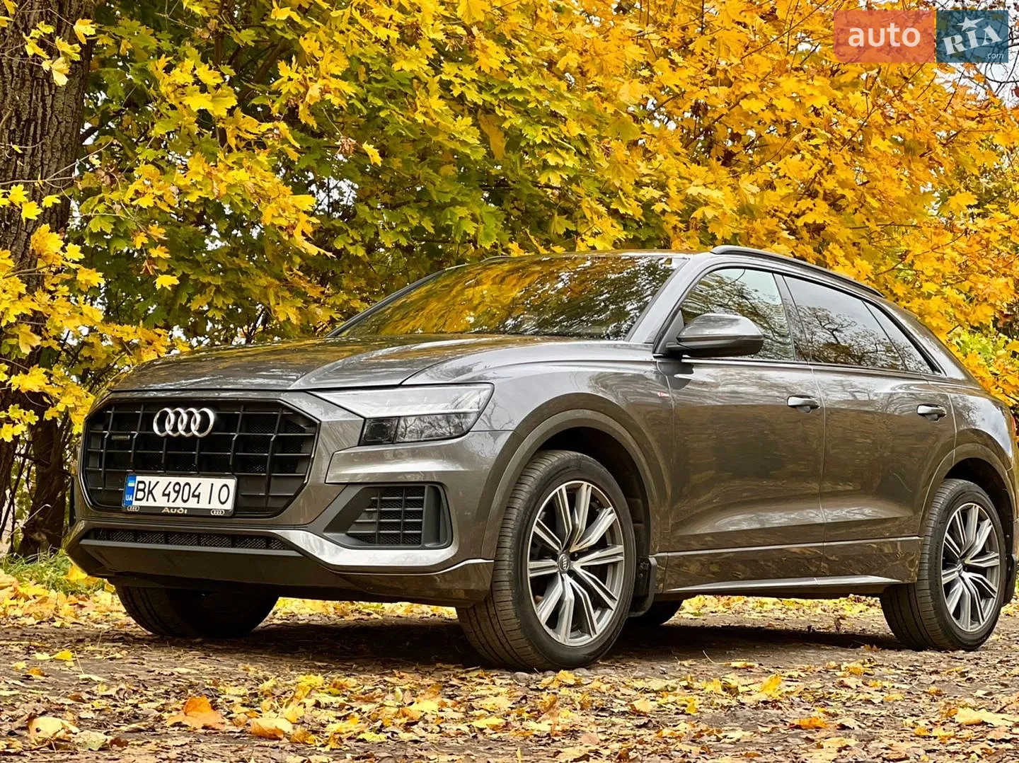 2018 Audi Q8 - фото 1