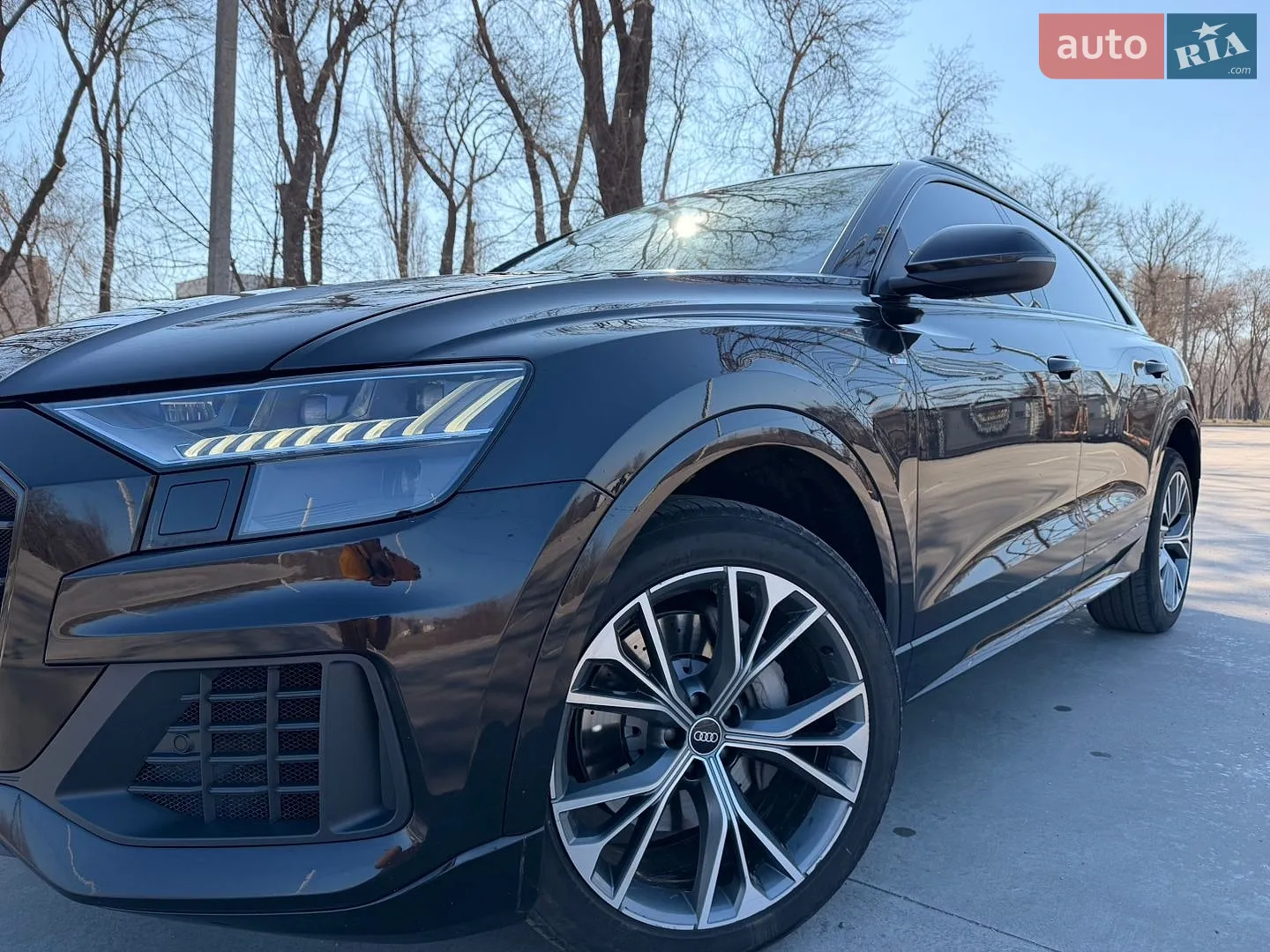 2020 Audi Q8 - фото 1