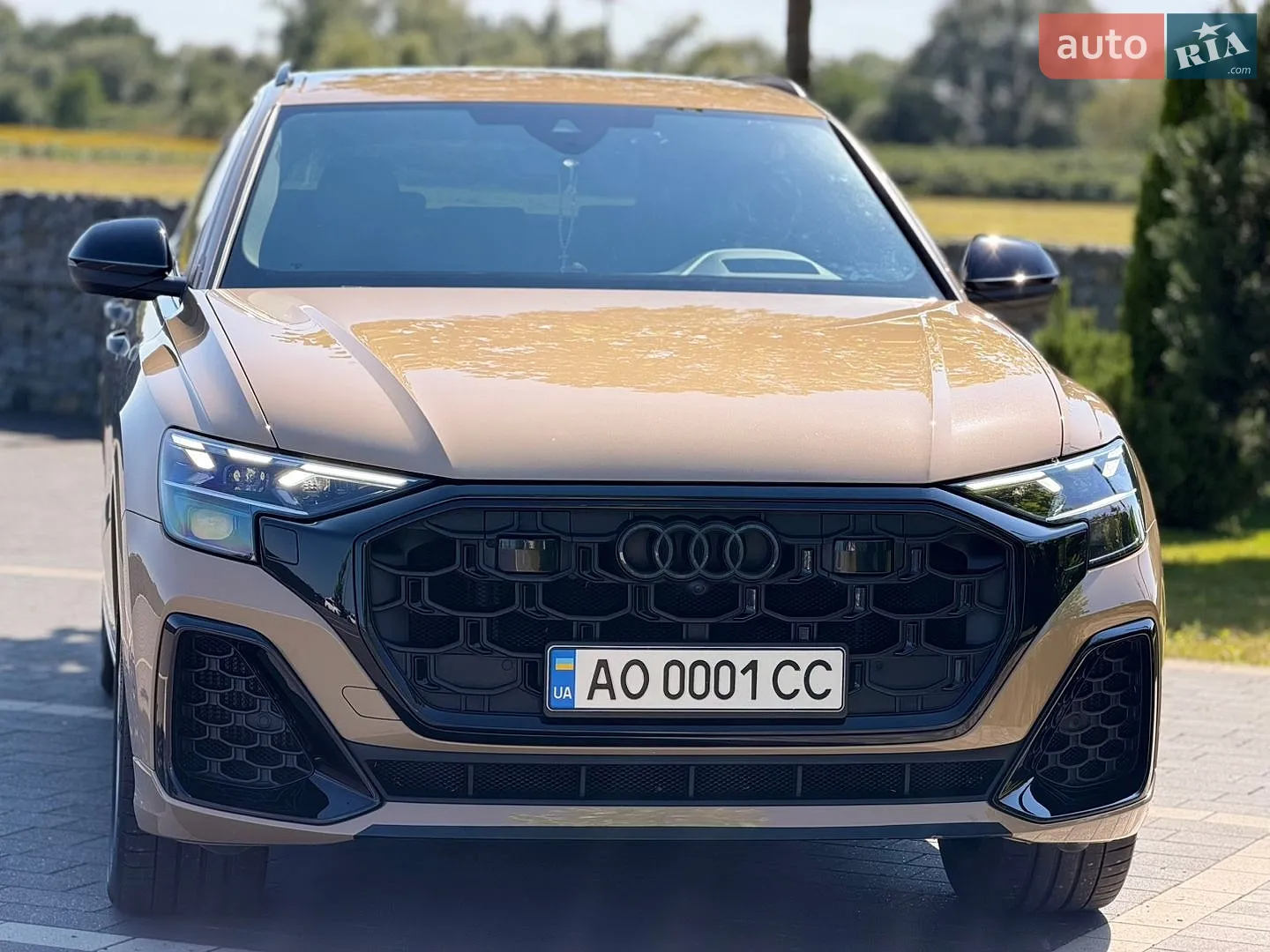 2024 Audi Q8 - мініатюра 12