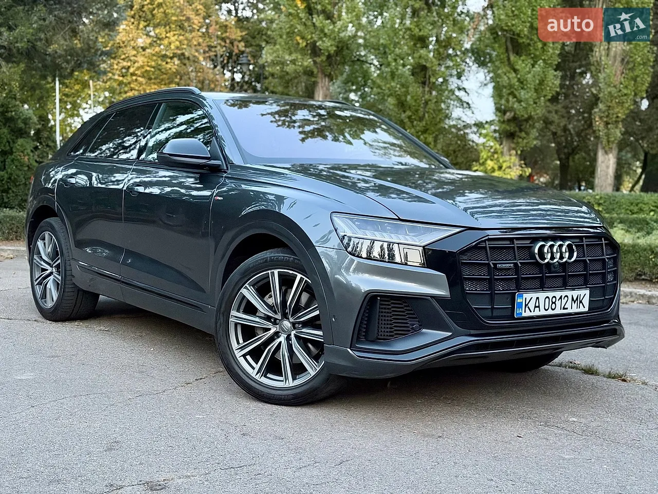 Audi Q8 2019