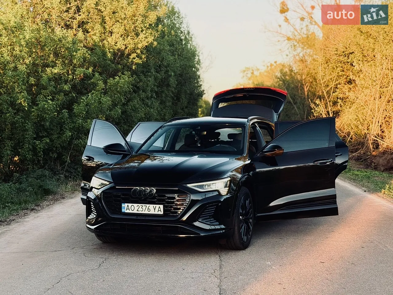 2023 Audi Q8 - мініатюра 55