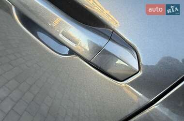 Внедорожник / Кроссовер Audi RS Q8 2024 в 