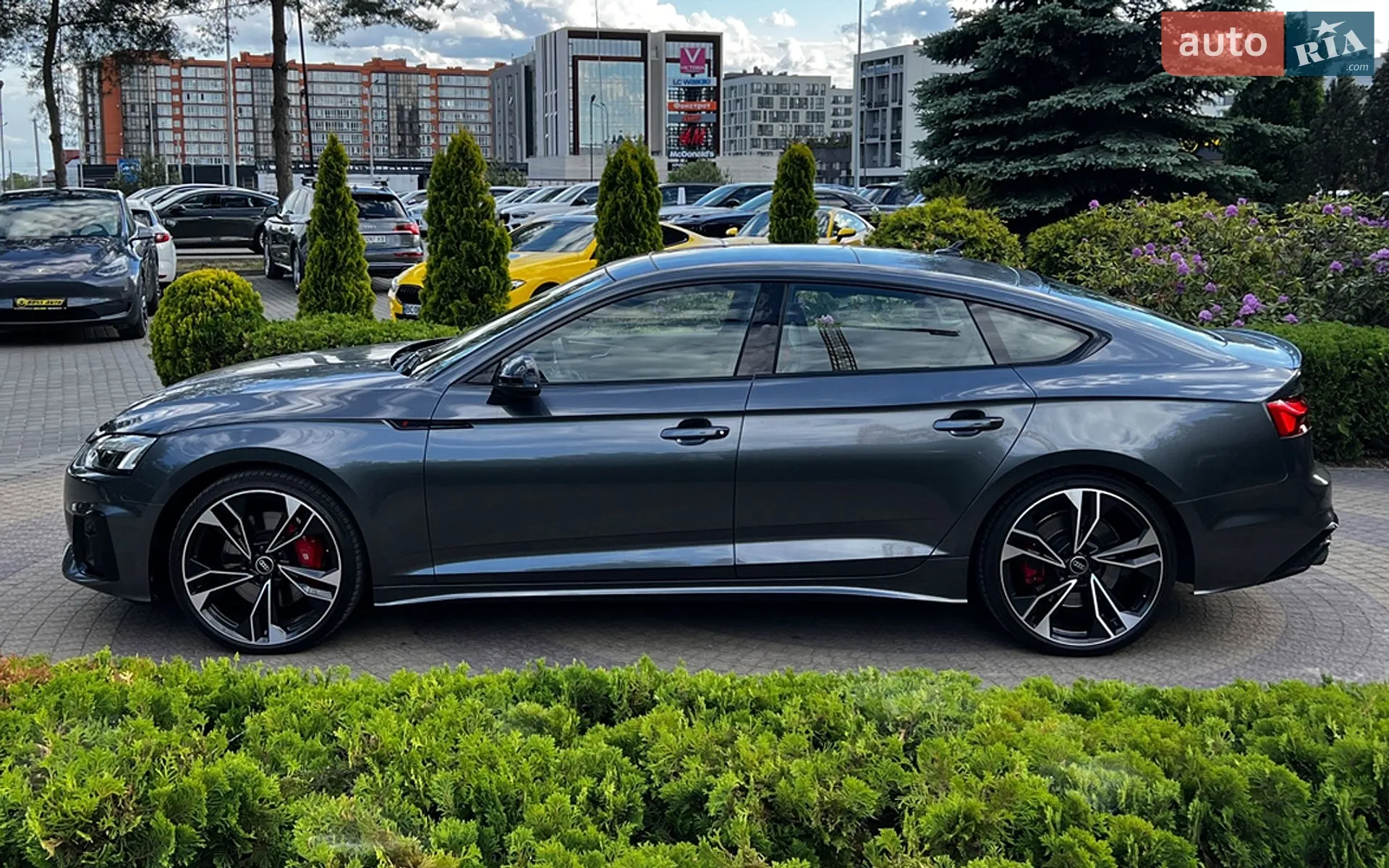 2023 Audi S5 - мініатюра 5