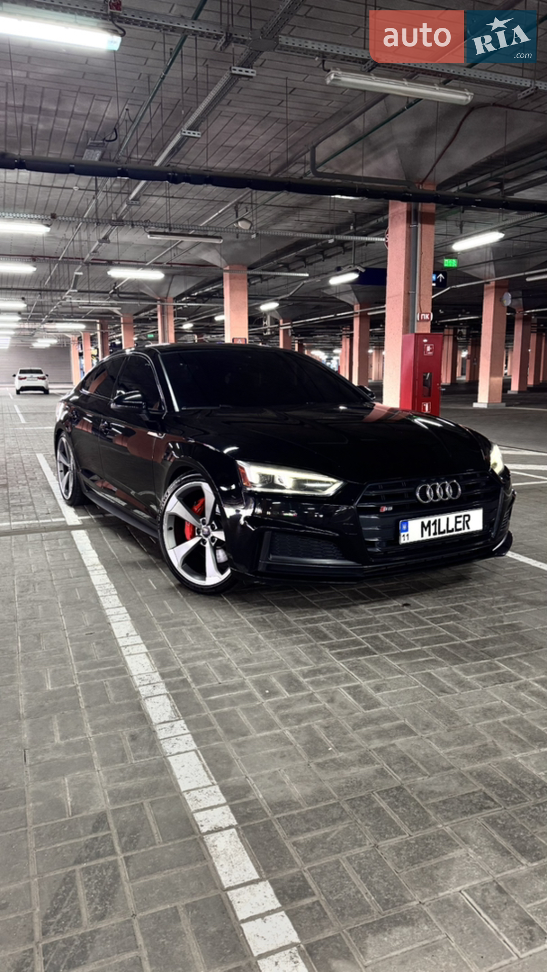 2019 Audi S5 - фото 1