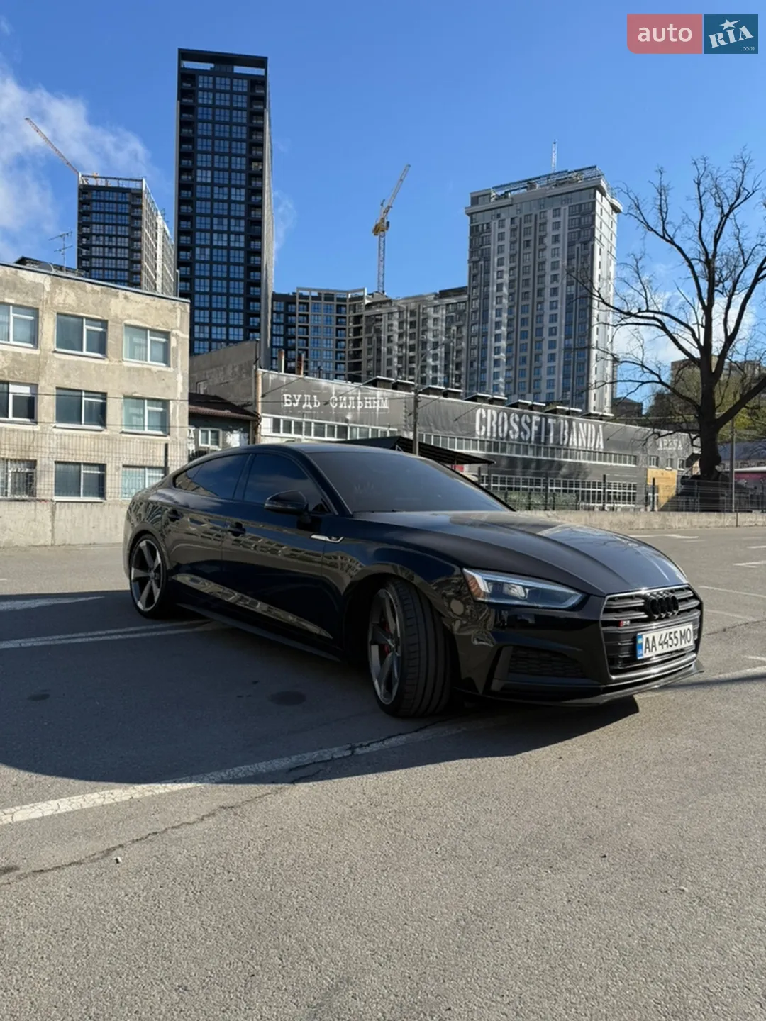 2019 Audi S5 - мініатюра 2