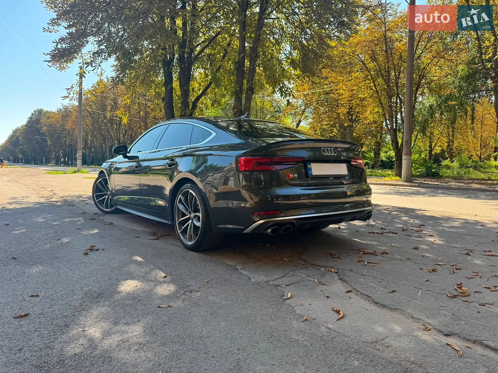 2019 Audi S5 - мініатюра 4