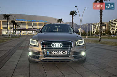 Audi SQ5 2013