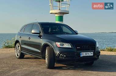 Audi SQ5 2013