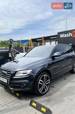Audi SQ5 2015
