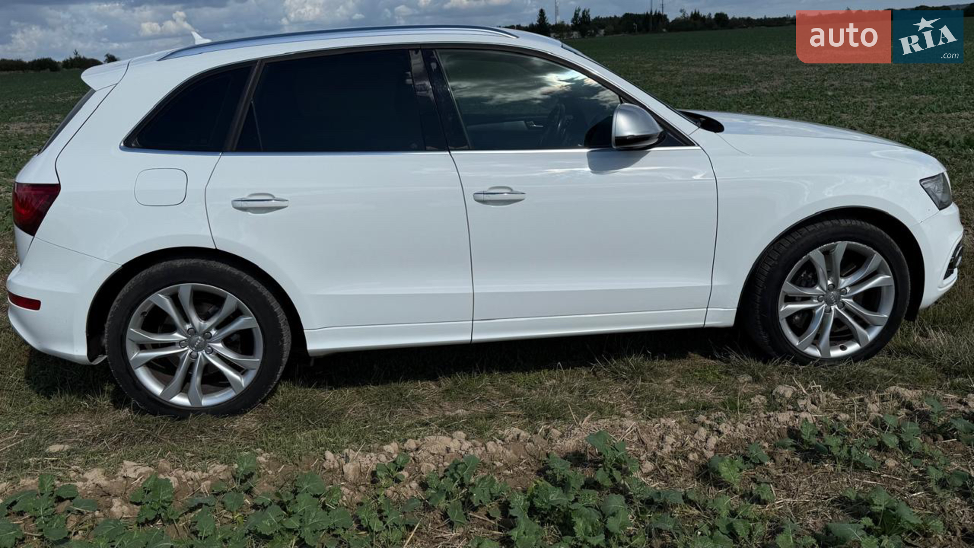 2015 Audi SQ5 - мініатюра 13