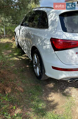 Внедорожник / Кроссовер Audi SQ5 2015 в 