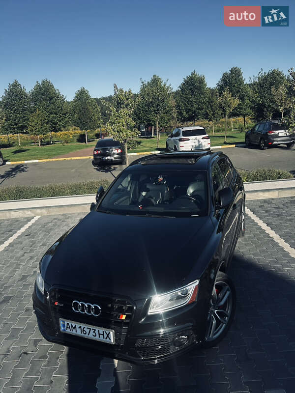 Внедорожник / Кроссовер Audi SQ5 2016 в Ирпене фото 11 Внедорожник / Кроссовер Audi SQ5 2016 в Ирпене