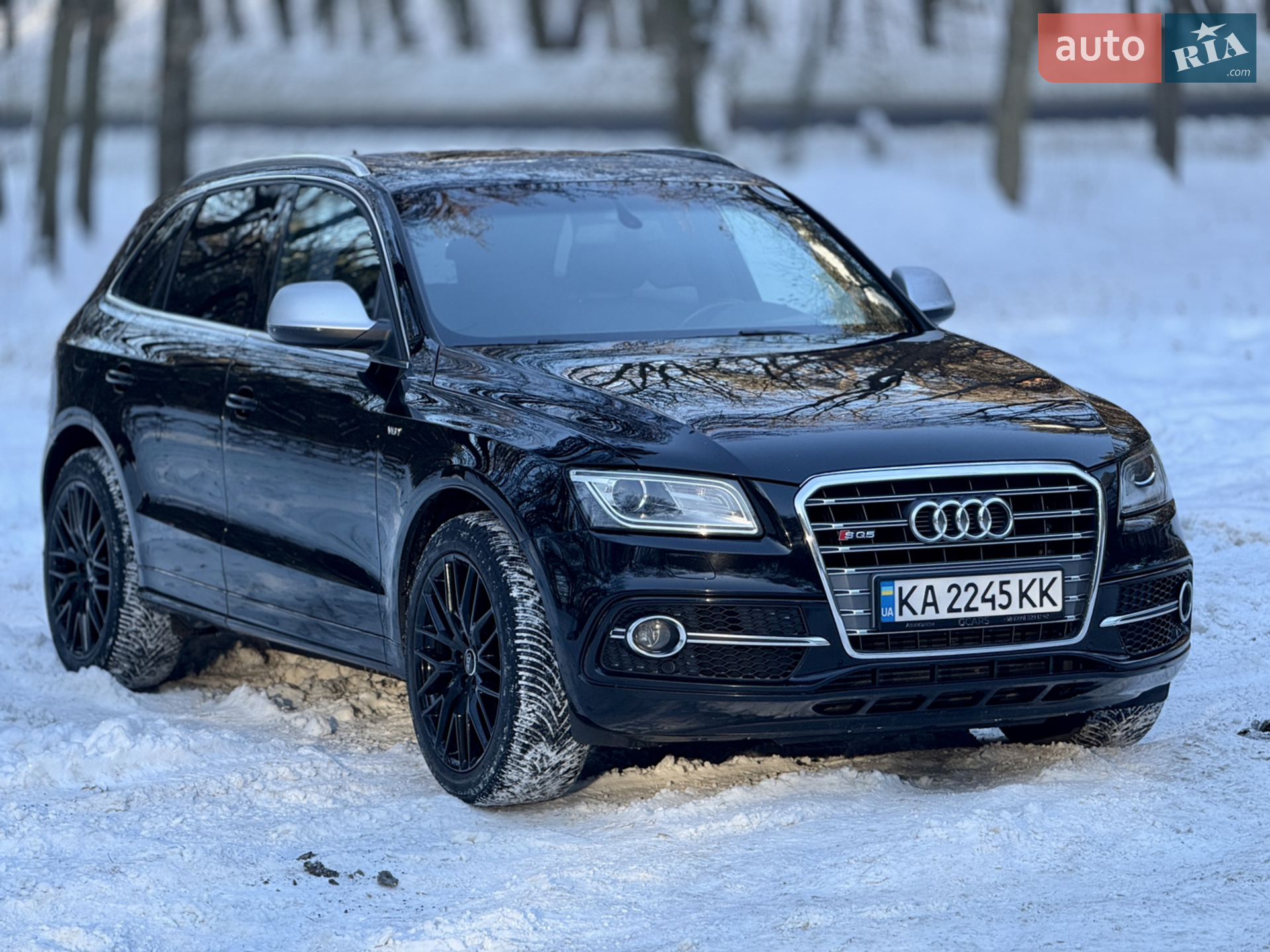 2013 Audi SQ5 - фото 1
