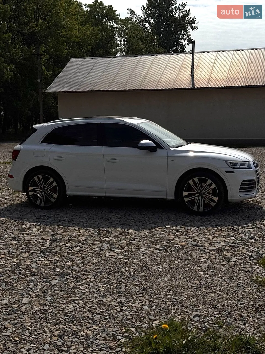 2017 Audi SQ5 - мініатюра 4