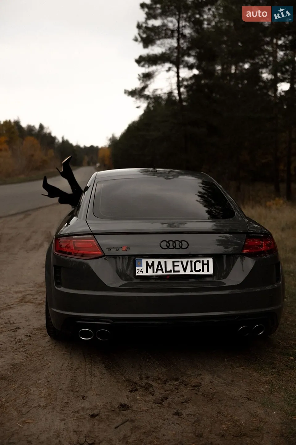 2019 Audi TTS - фото 1