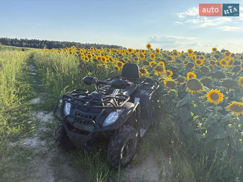 Квадроцикл  утилитарный Bashan BS200 2024 в Чернигове