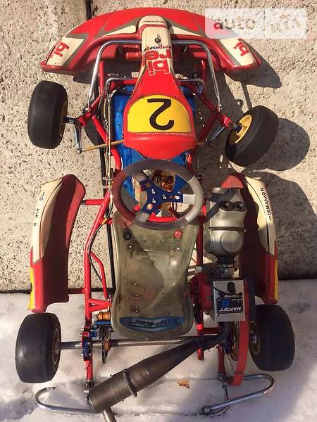 Картинг Birel C 2012 в Києві