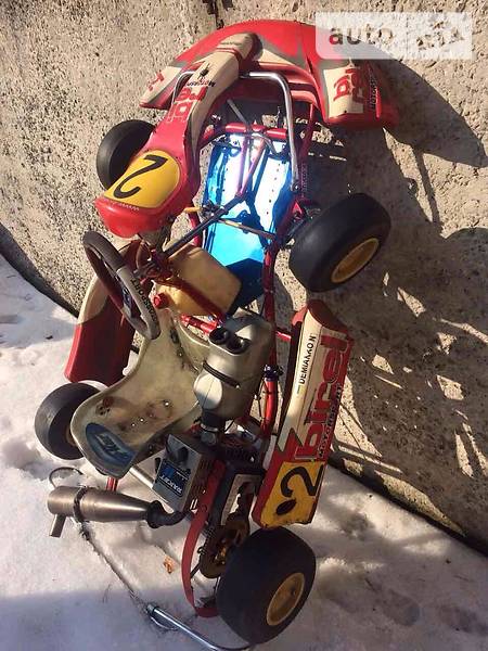 Картинг Birel C 2012 в Києві