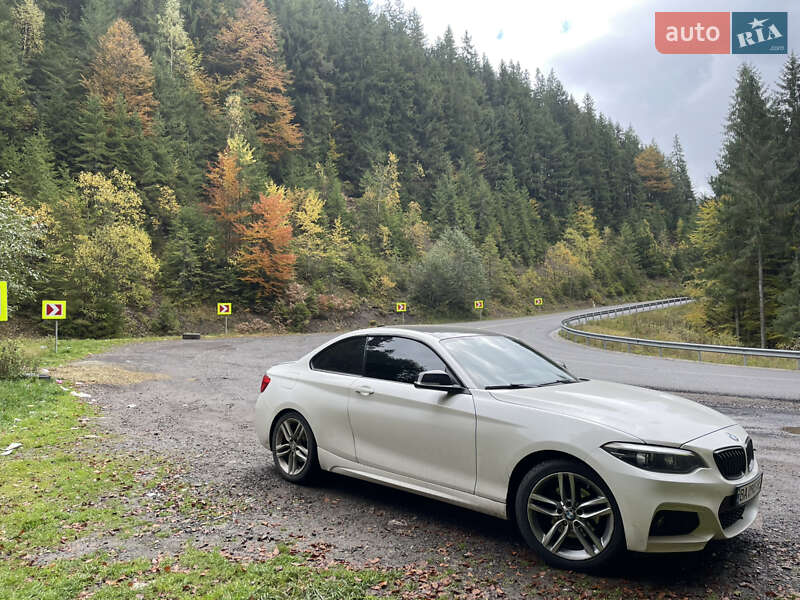 Купе BMW 2 Series 2018 в Черновцах фото 11 Купе BMW 2 Series 2018 в Черновцах