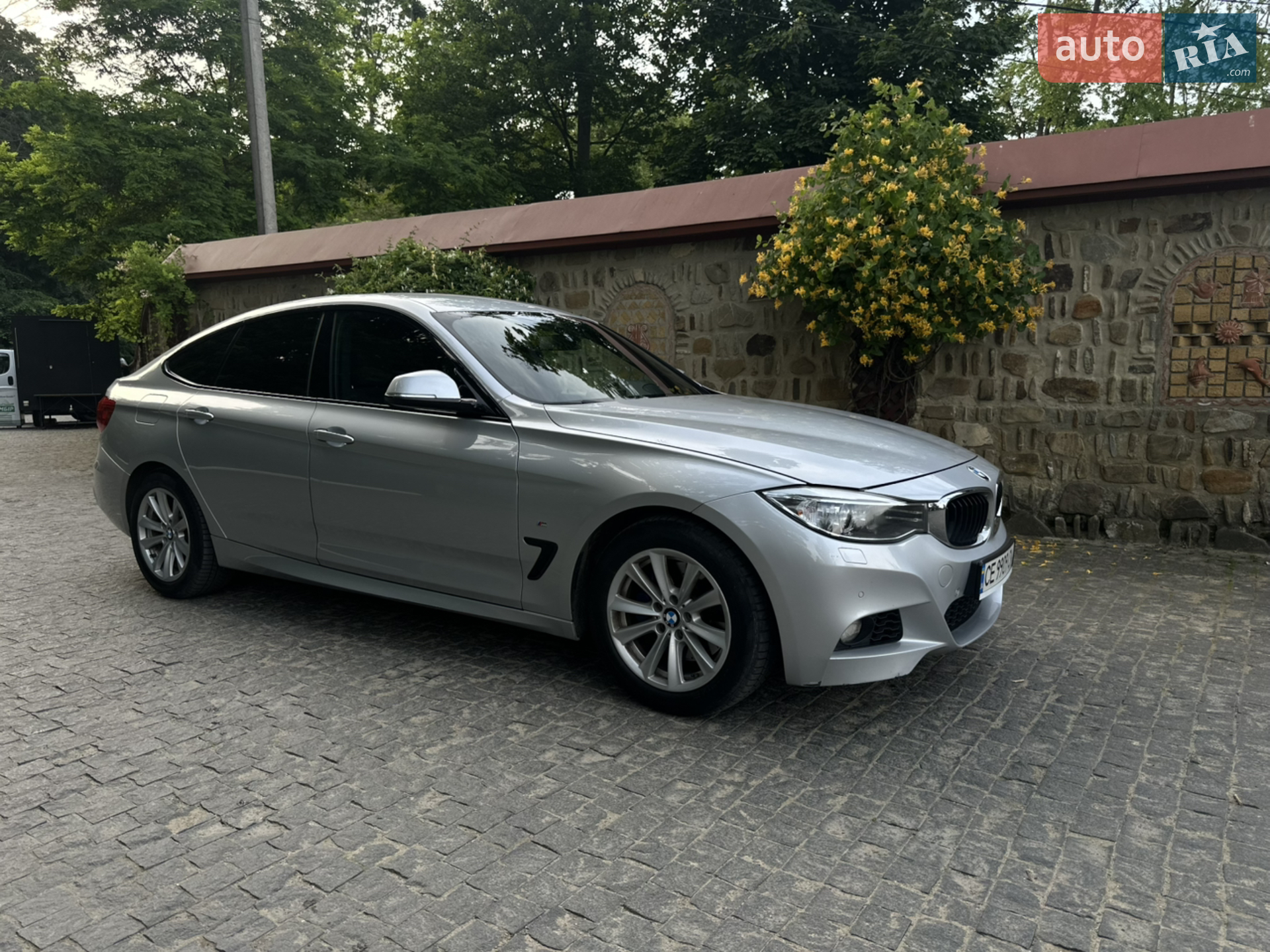 2015 BMW 3er - мініатюра 5