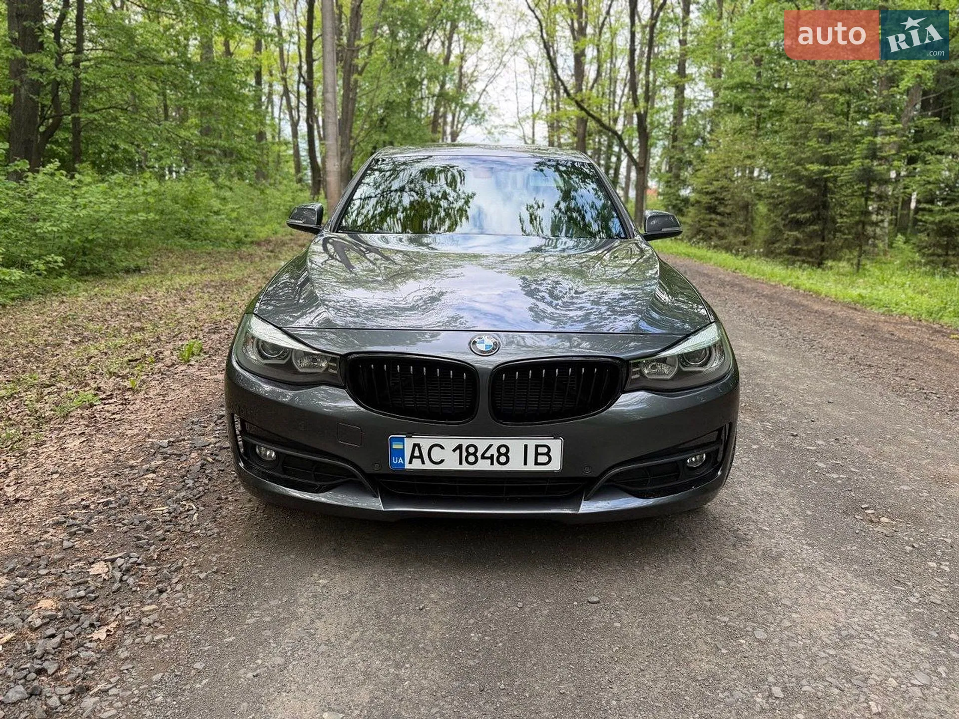 2016 BMW 3er - мініатюра 4