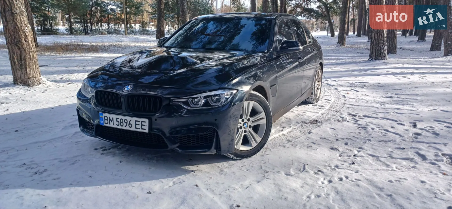 2015 BMW 3er - мініатюра 3