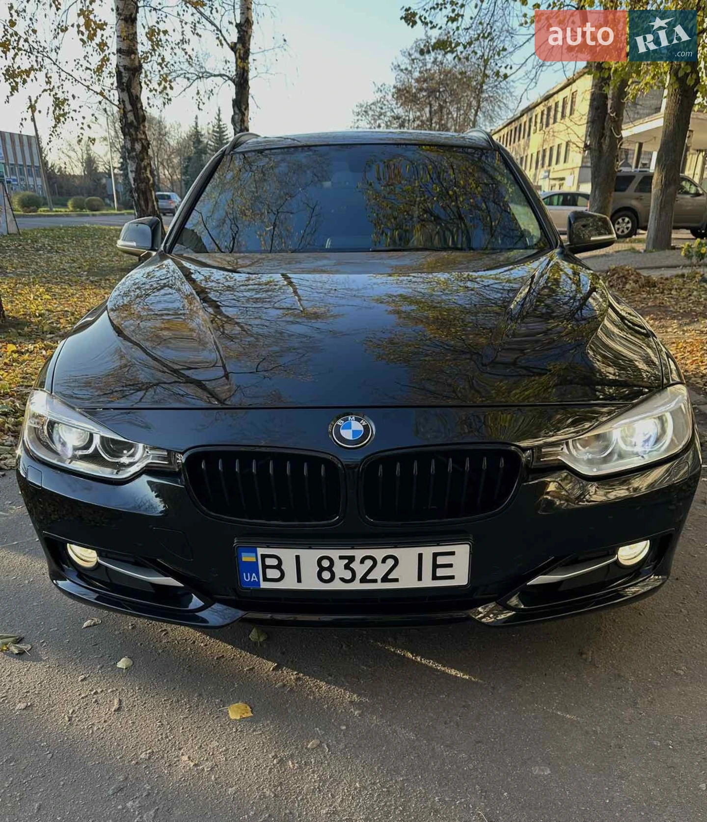 2013 BMW 3er - мініатюра 2