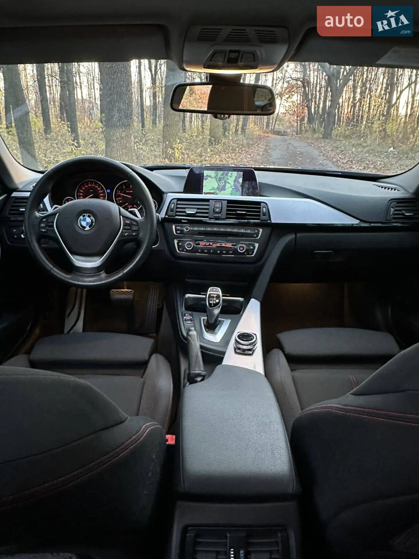 2013 BMW 3er - мініатюра 30