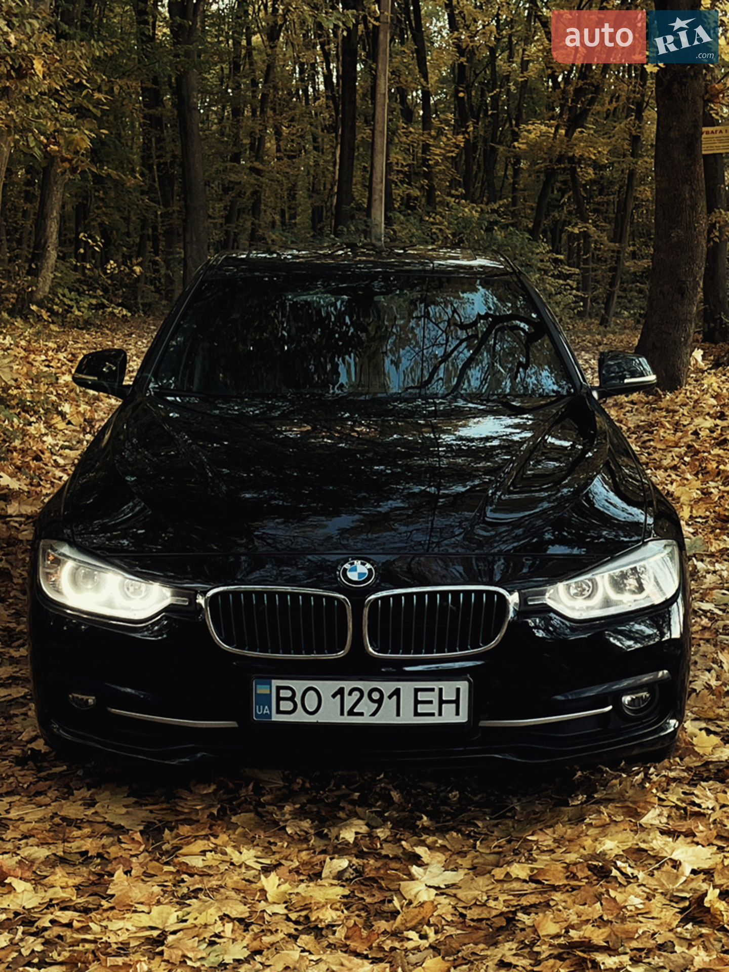 2017 BMW 3er - фото 1