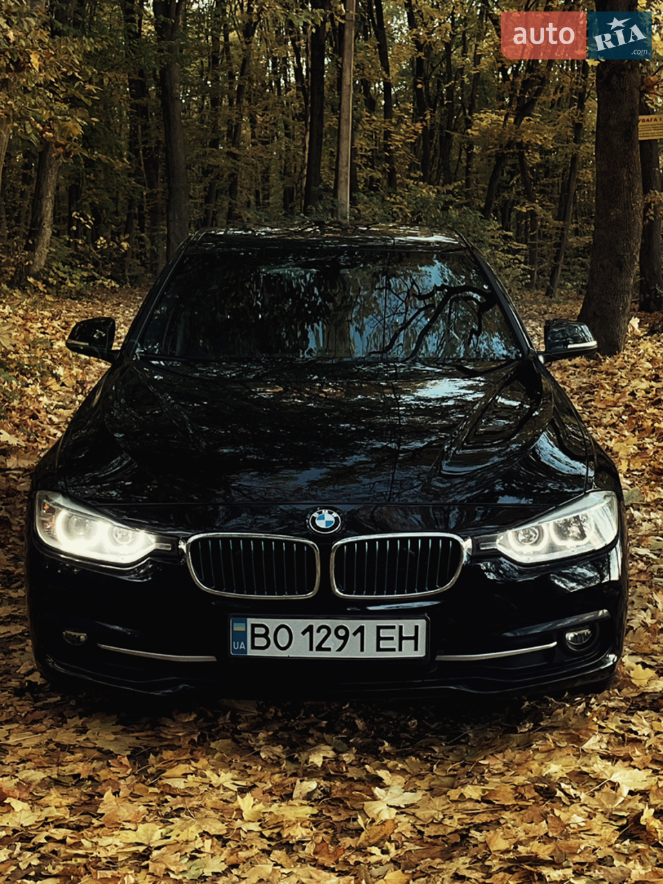2016 BMW 3er - мініатюра 39