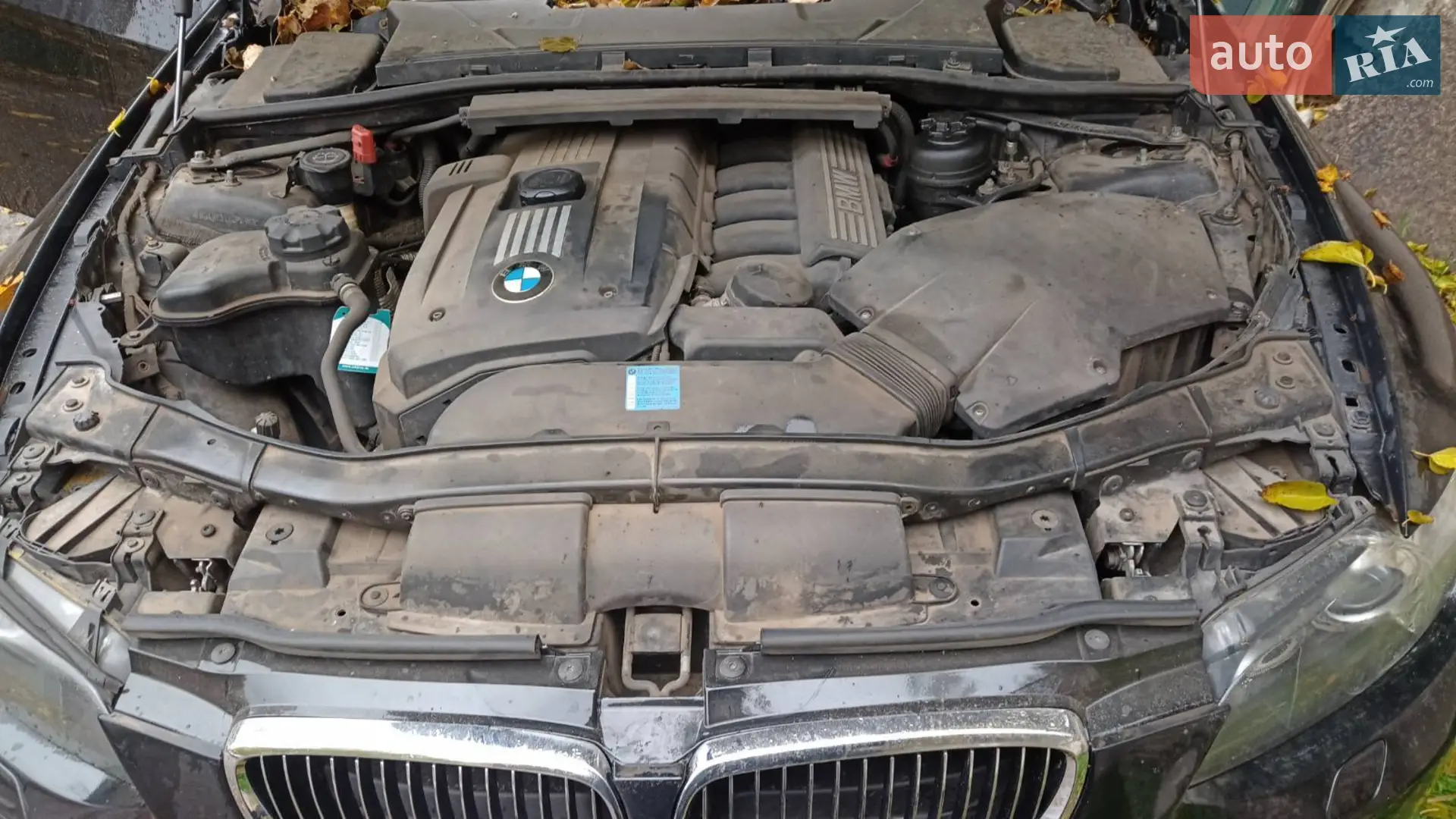 BMW 3 Series 2006 VIN WBAWC31040PW91121 фото оголошення 18 з 22