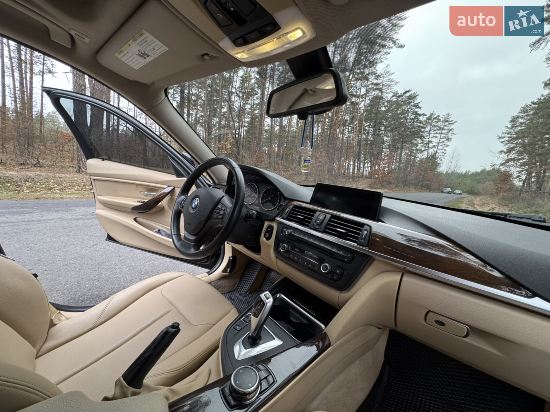2015 BMW 3er - мініатюра 14