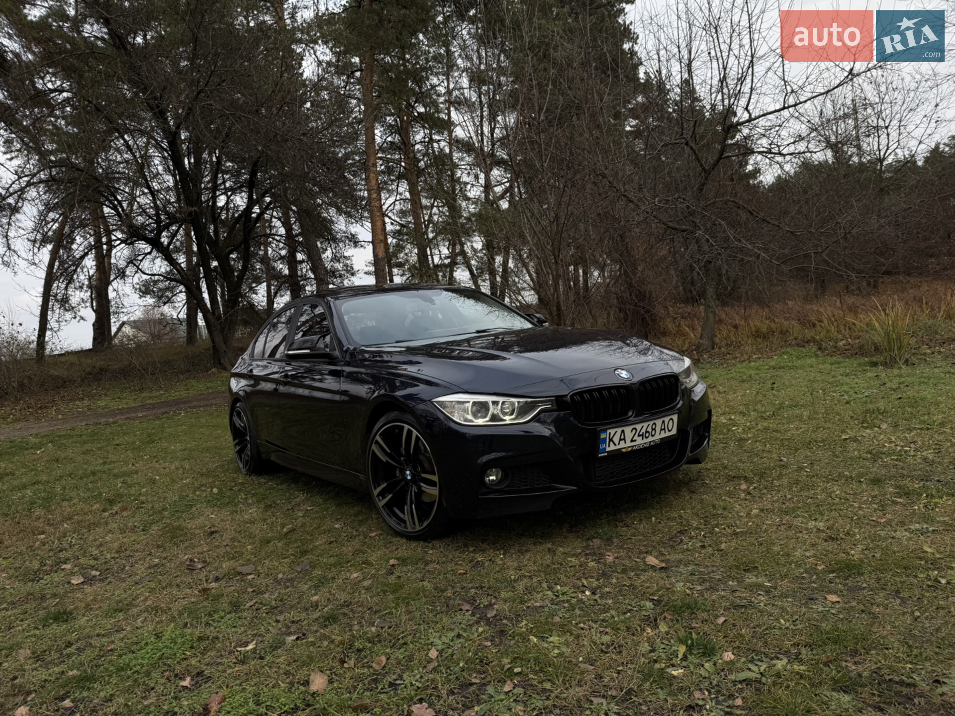 2014 BMW 3er - фото 1