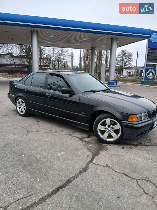 BMW 3 Series 1995 BMW 3 Series 1995