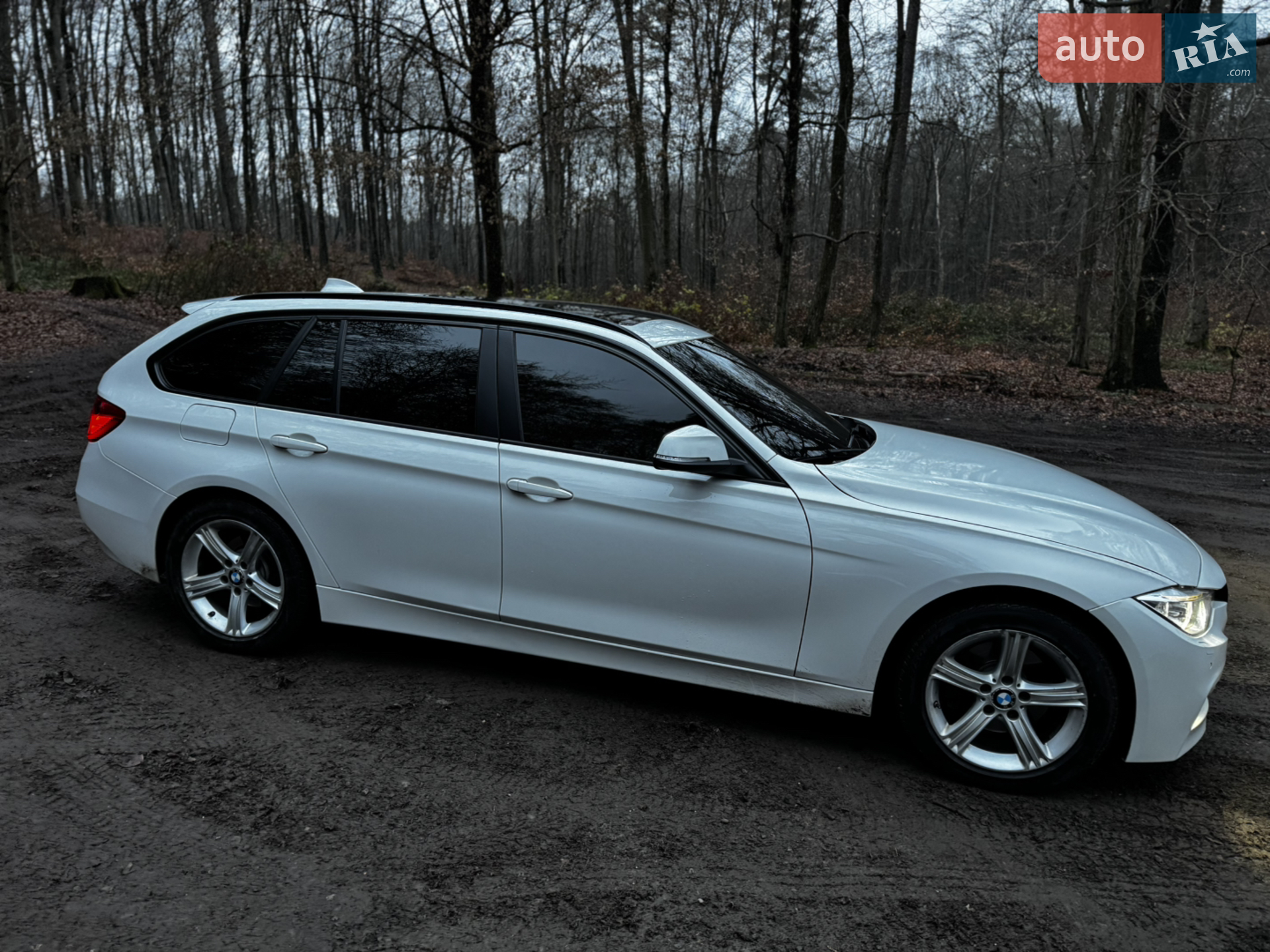 2014 BMW 3er - мініатюра 5