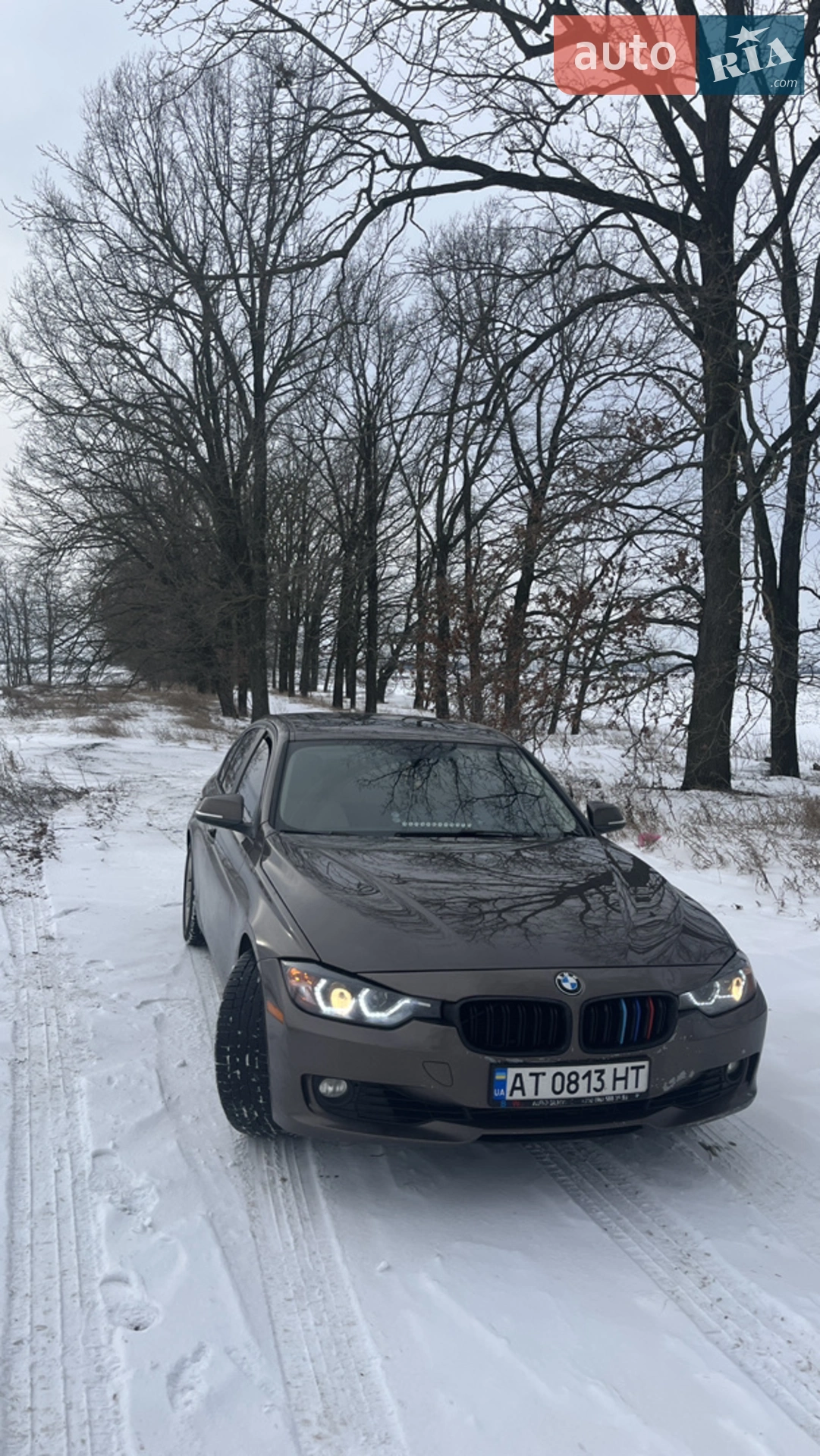 2013 BMW 3er - мініатюра 2
