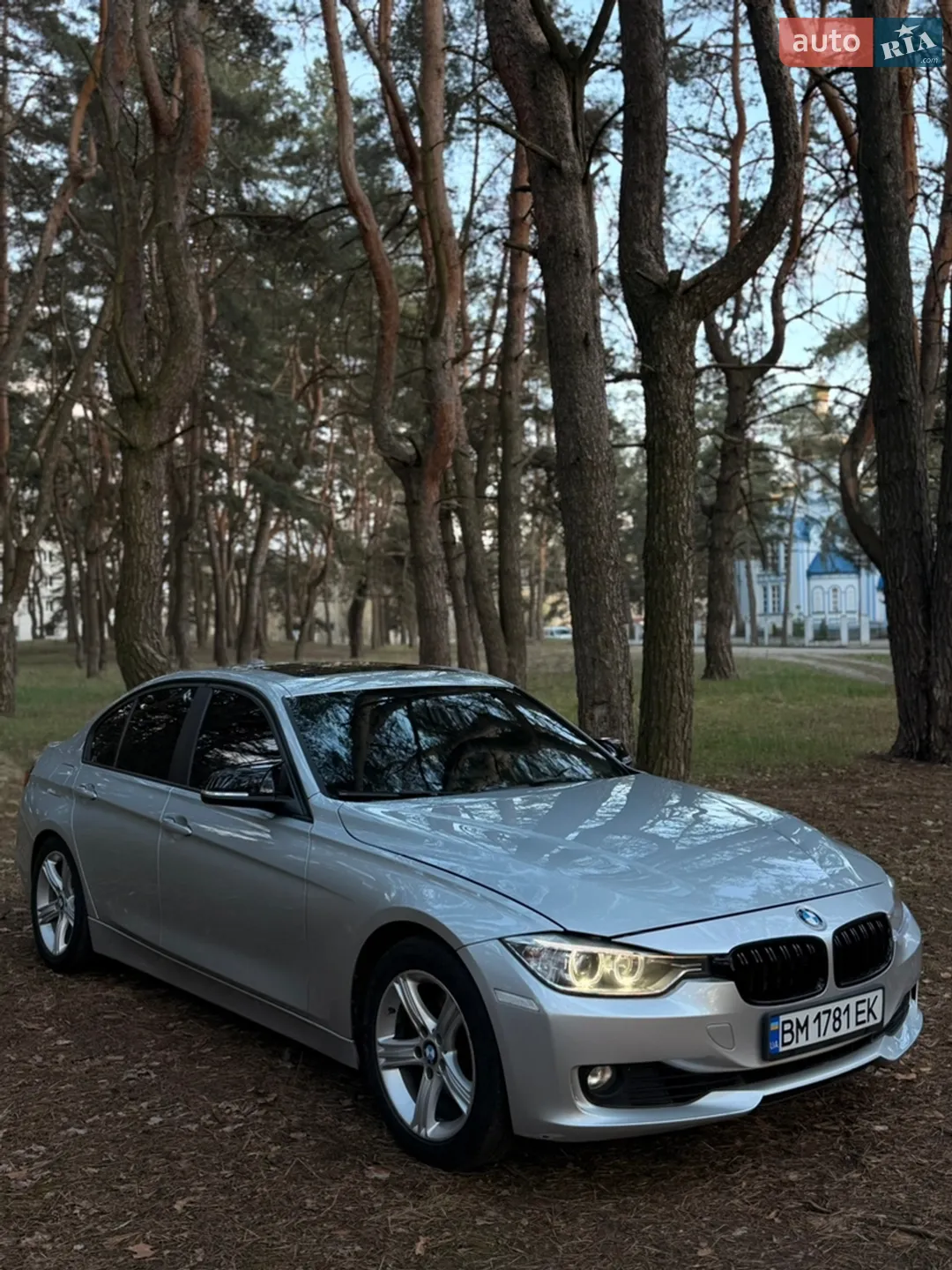 2013 BMW 3er - мініатюра 7