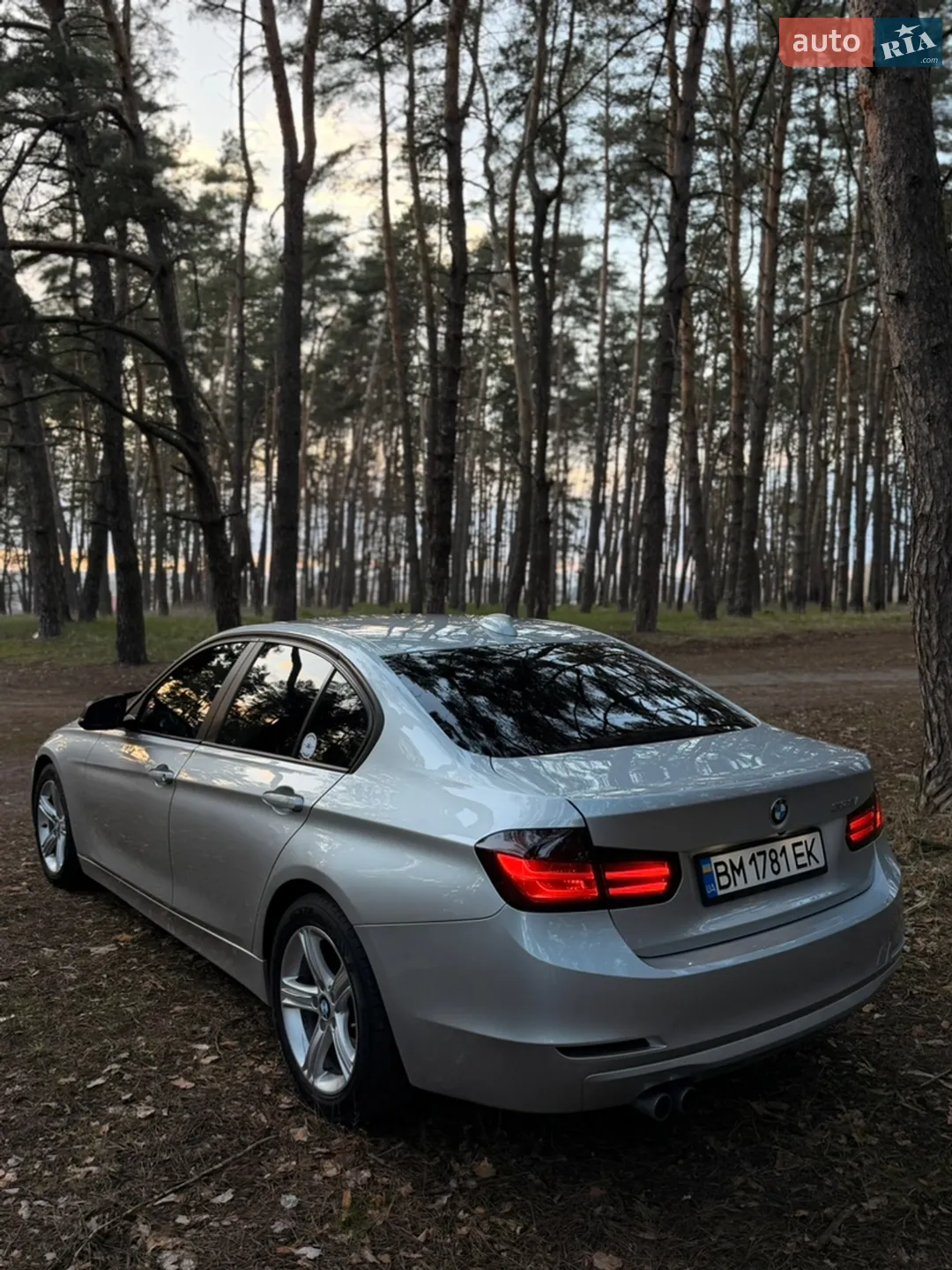 2013 BMW 3er - мініатюра 10