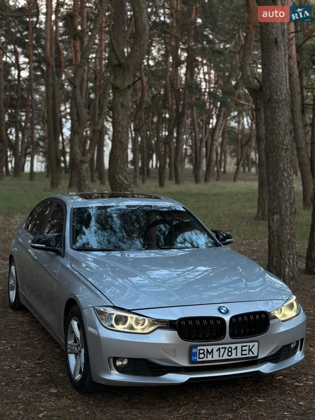2013 BMW 3er - мініатюра 28