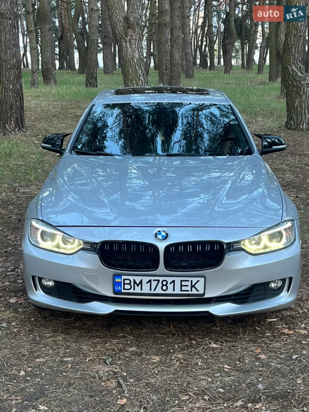 2013 BMW 3er - фото 1