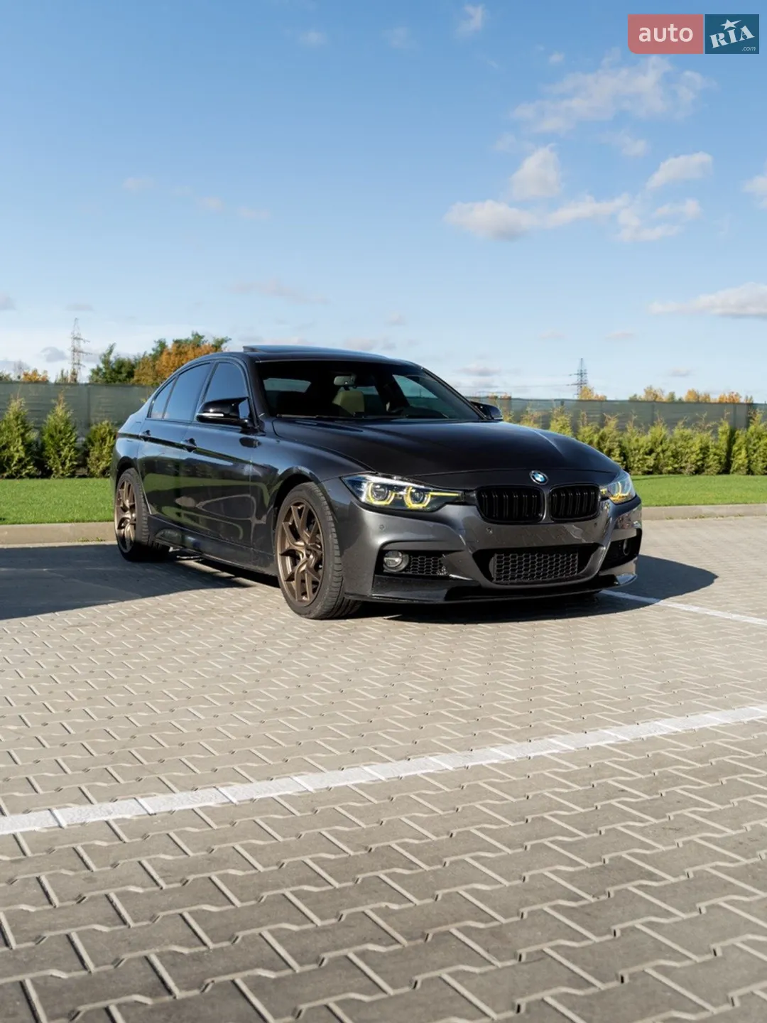 2015 BMW 3er - мініатюра 6