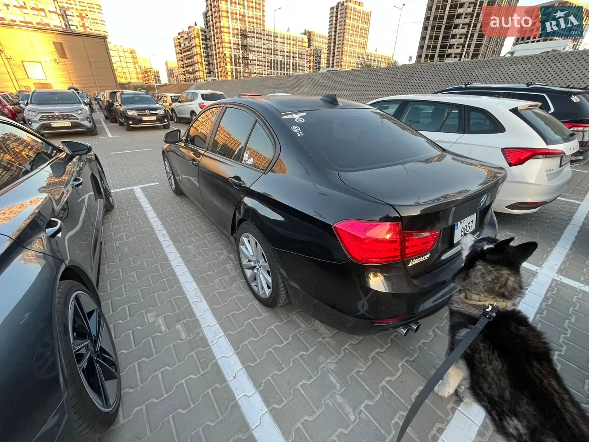 2015 BMW 3er - мініатюра 6
