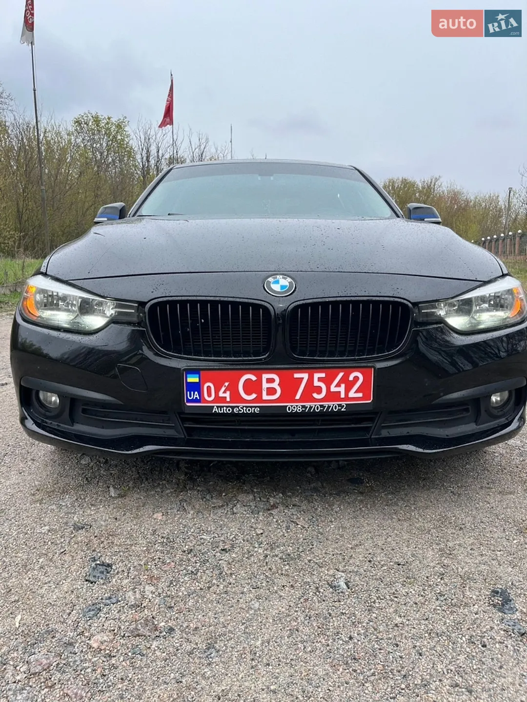 2016 BMW 3er - мініатюра 8