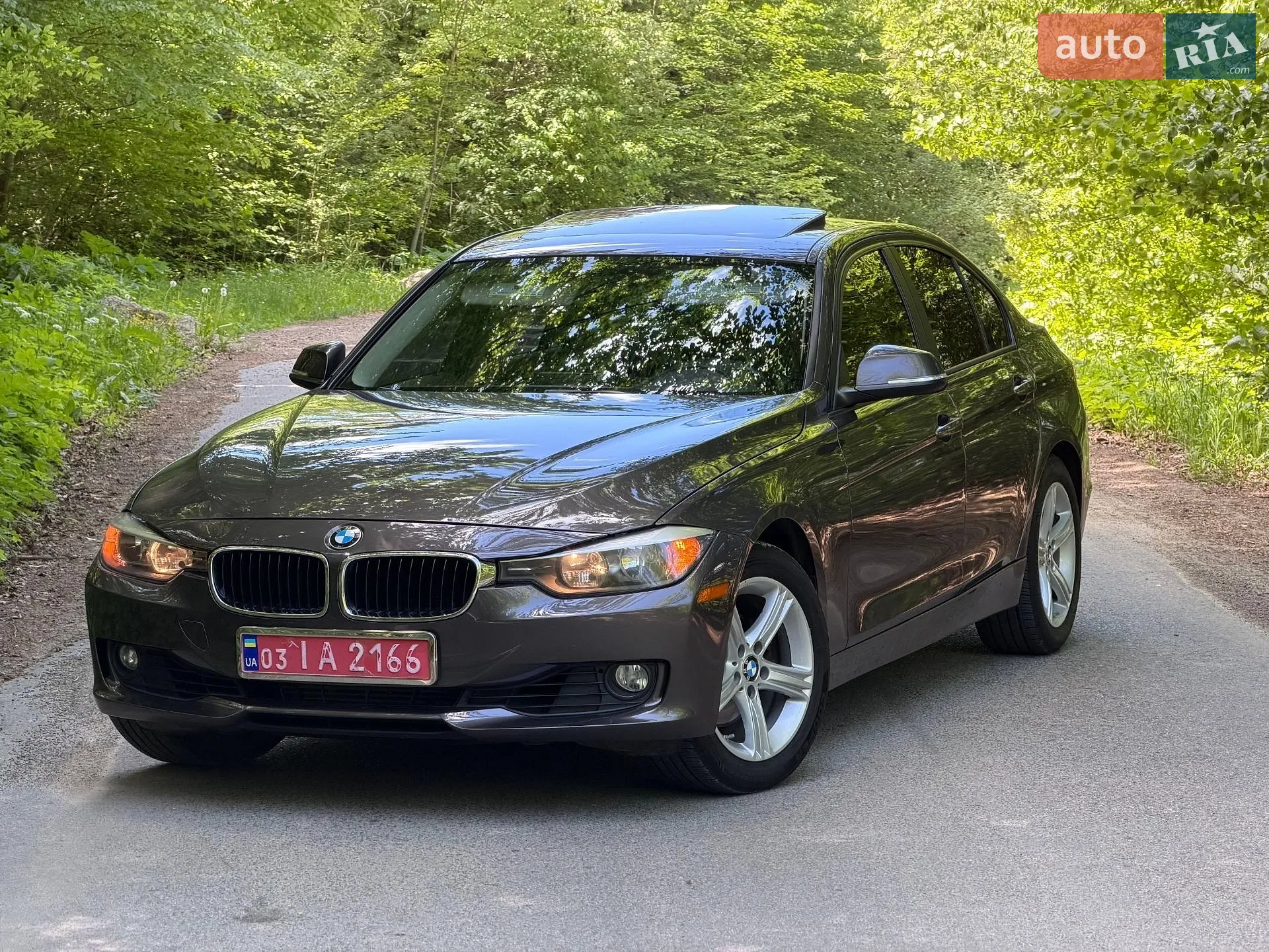 2013 BMW 3er - фото 1