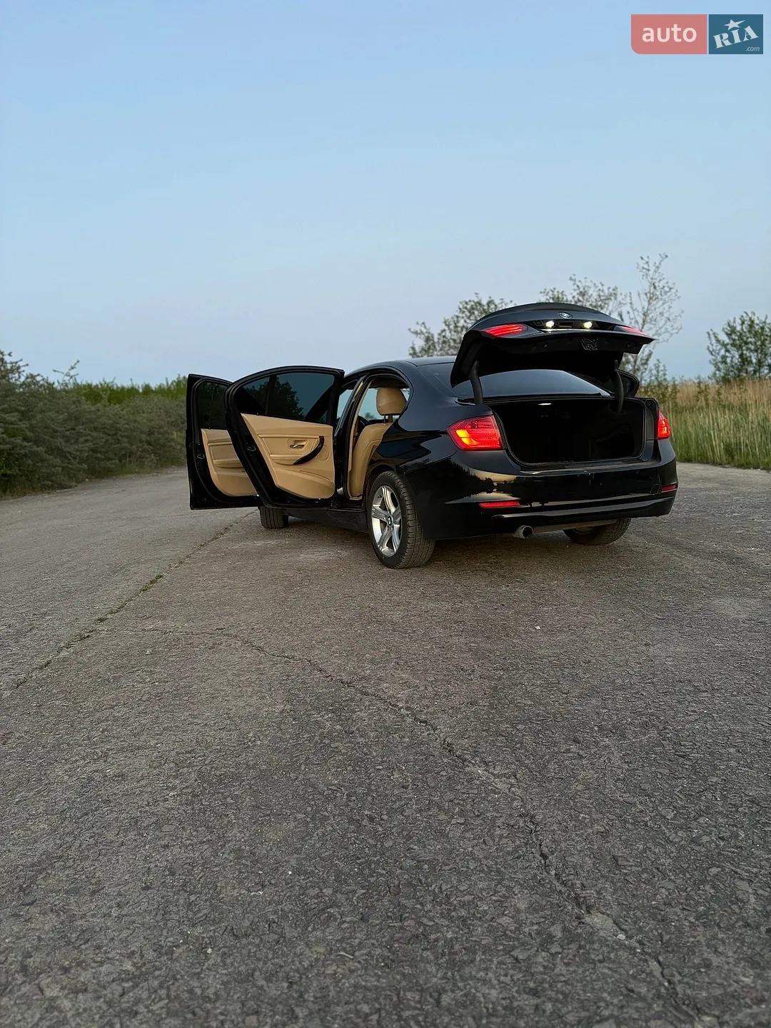 2013 BMW 3er - мініатюра 5