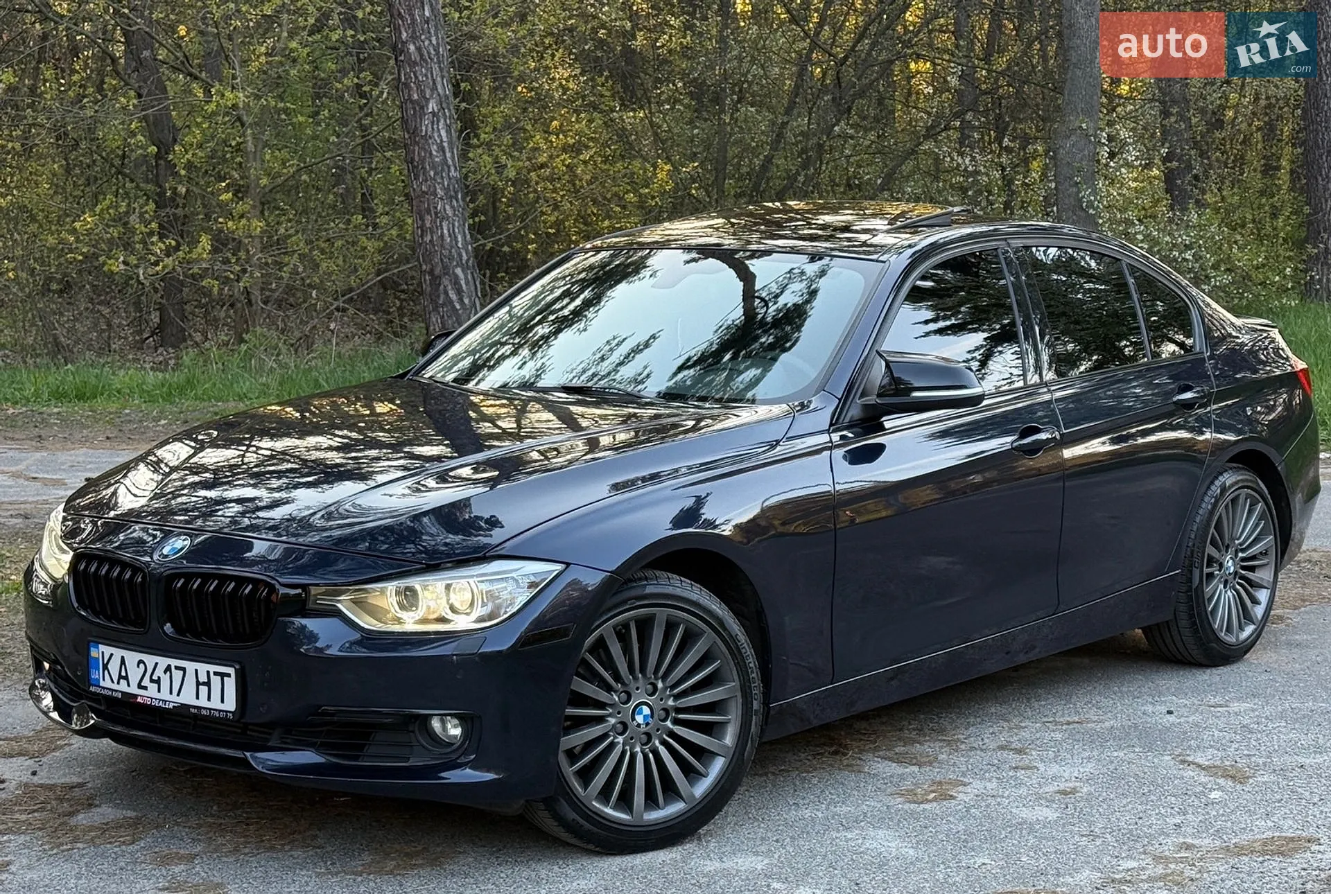 2014 BMW 3er - мініатюра 10