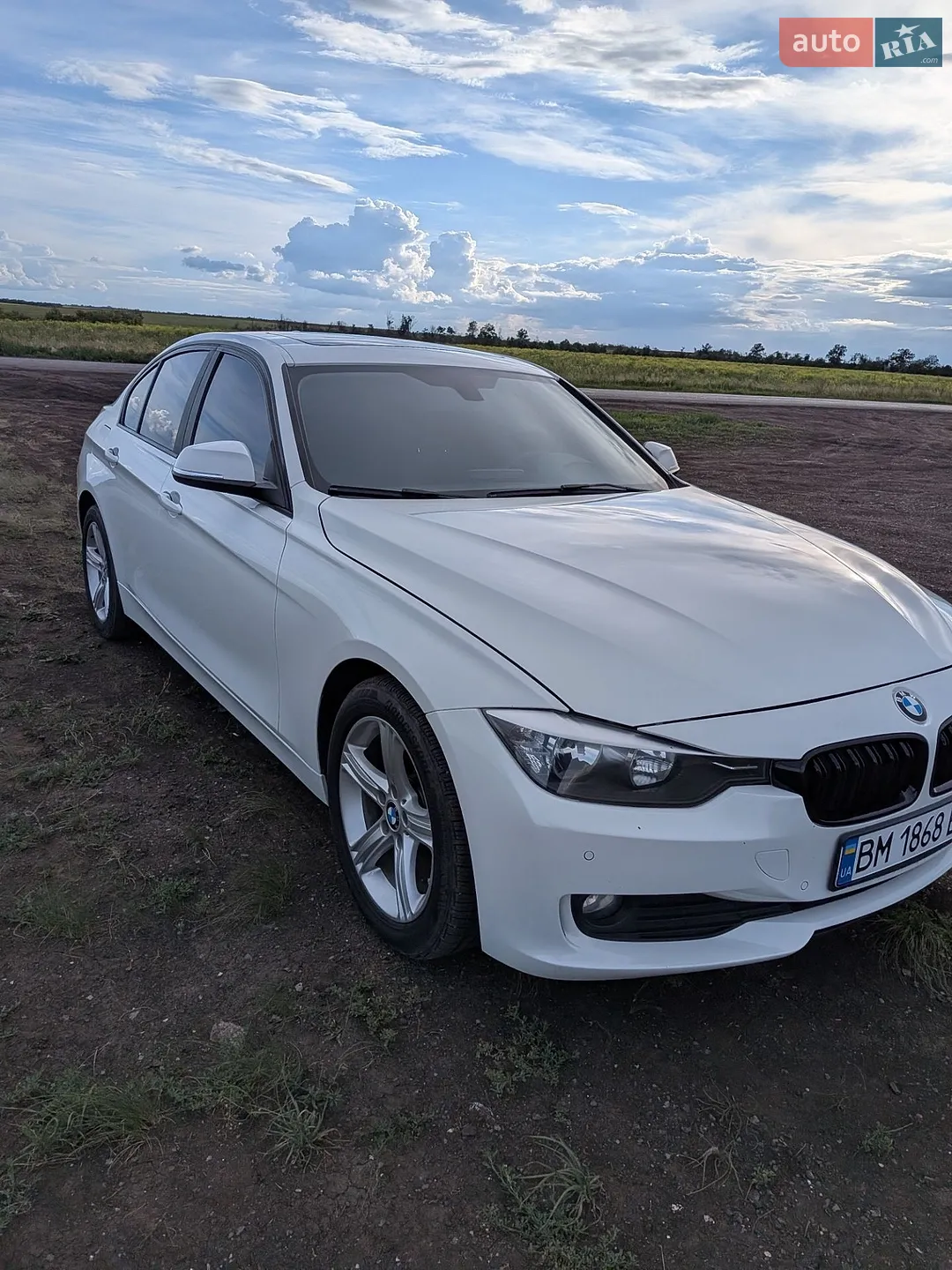 2014 BMW 3er - фото 1