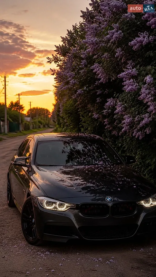 2013 BMW 3er - мініатюра 30