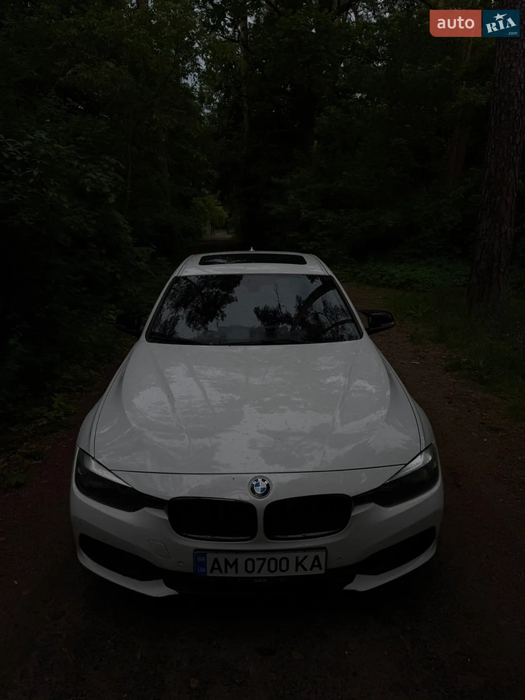2016 BMW 3er - мініатюра 5