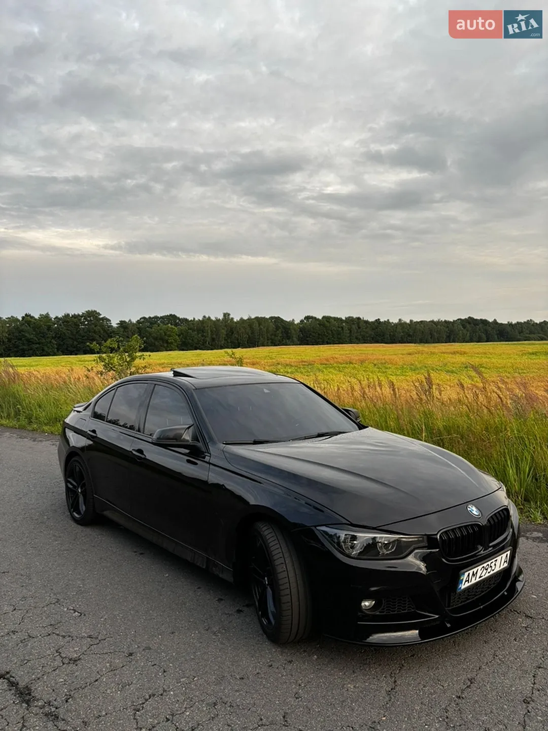 2016 BMW 3er - мініатюра 3